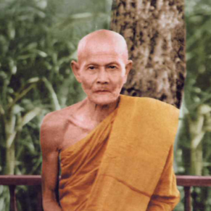 nhan4